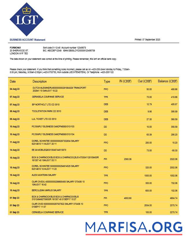 Blank LGT Bank organization checking account statement Word and PDF template